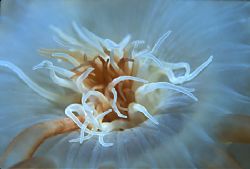 In a world of sameness my personal favorite catagory; "ar... by Victor Zucker 